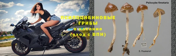 сатива Верхнеуральск