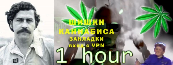 ГАЛЛЮЦИНОГЕННЫЕ ГРИБЫ Верхний Тагил