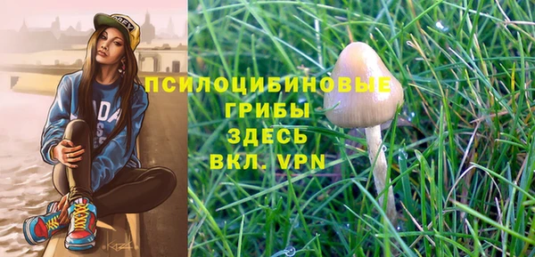 сатива Верхнеуральск