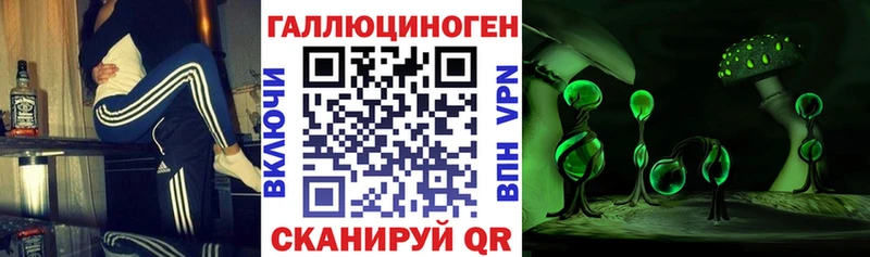 Псилоцибиновые грибы Psilocybe  Ноябрьск 