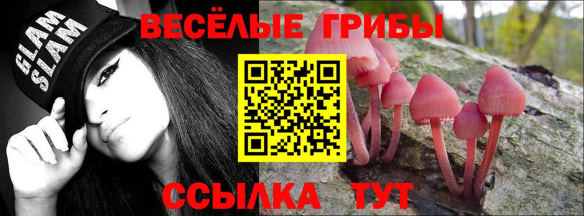 Галлюциногенные грибы ЛСД  Вход с VPN  где можно купить наркотик  Псилоцибиновые грибы MAGIC MUSHROOMS  Ноябрьск 