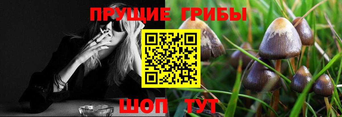 Галлюциногенные грибы прущие грибы Ноябрьск